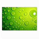 Green Water Drops Postcard 4  x 6 