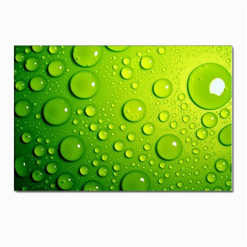 Green Water Drops Postcard 4 x 6  (Pkg of 10) from ArtsNow.com Front