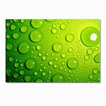 Green Water Drops Postcards 5  x 7  (Pkg of 10)