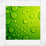 Green Water Drops Canvas 12  x 16 