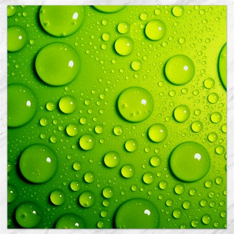 Green Water Drops Canvas 16  x 16  from ArtsNow.com 15.2 x15.41  Canvas - 1