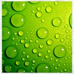 Green Water Drops Canvas 16  x 16 