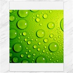 Green Water Drops Canvas 18  x 24 
