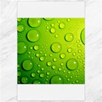Green Water Drops Canvas 20  x 30 