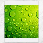 Green Water Drops Canvas 11  x 14 