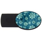 Snow Flake Art USB Flash Drive Oval (2 GB)
