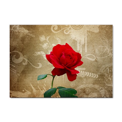 Red Rose Art Sticker A4 (100 pack) from ArtsNow.com Front