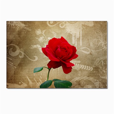 Red Rose Art Postcards 5  x 7  (Pkg of 10) from ArtsNow.com Front