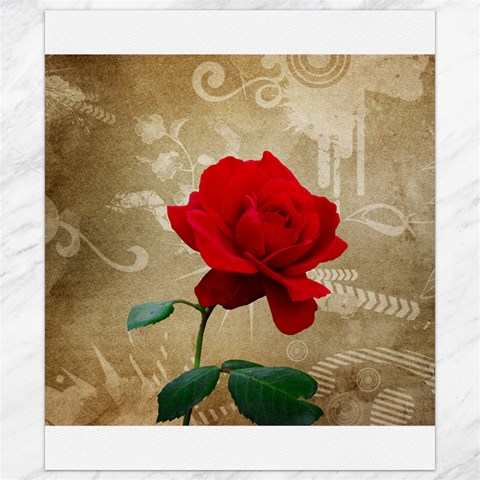 Red Rose Art Canvas 8  x 10  from ArtsNow.com 8.15 x9.66  Canvas - 1