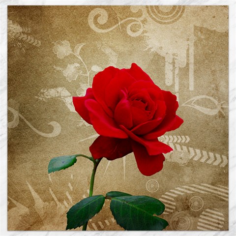 Red Rose Art Canvas 12  x 12  from ArtsNow.com 11.4 x11.56  Canvas - 1