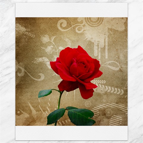 Red Rose Art Canvas 11  x 14  from ArtsNow.com 10.95 x13.48  Canvas - 1