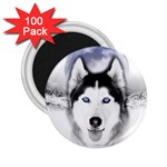 Wolf Moon Mountains 2.25  Magnet (100 pack) 