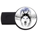 Wolf Moon Mountains USB Flash Drive Round (2 GB)