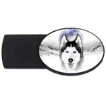 Wolf Moon Mountains USB Flash Drive Oval (4 GB)
