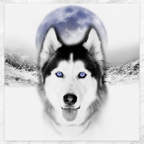 Wolf Moon Mountains Canvas 20  x 20  from ArtsNow.com 19 x19.27  Canvas - 1