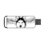 Wolf Moon Mountains Portable USB Flash (One Side)