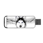 Wolf Moon Mountains Portable USB Flash (Two Sides)