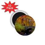 Stone Country Bridge 1.75  Magnet (10 pack) 