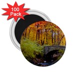 Stone Country Bridge 2.25  Magnet (100 pack) 