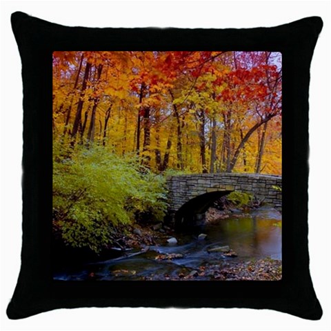 Stone Country Bridge Throw Pillow Case (Black) from ArtsNow.com Front