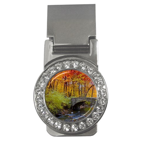 Stone Country Bridge Money Clip (CZ) from ArtsNow.com Front