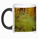 Stone Country Bridge Morph Mug