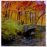 Stone Country Bridge Canvas 12  x 12 