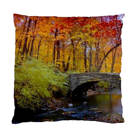 Stone Country Bridge Standard Cushion Case (One Side) from ArtsNow.com Front