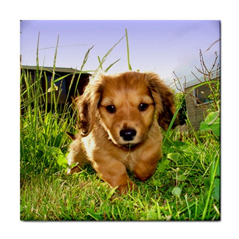 Puppy In Grass Tile Coaster from ArtsNow.com Front
