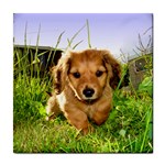 Puppy In Grass Tile Coaster
