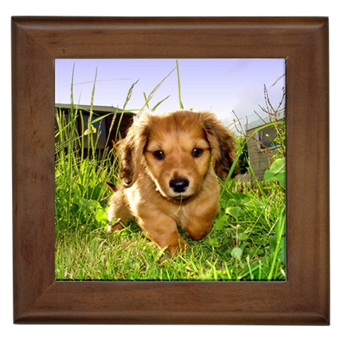 Puppy In Grass Framed Tile from ArtsNow.com Front