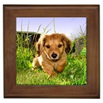 Puppy In Grass Framed Tile