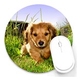 Puppy In Grass Round Mousepad