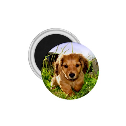 Puppy In Grass 1.75  Magnet from ArtsNow.com Front