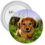 Puppy In Grass 3  Button