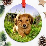 Puppy In Grass Ornament (Round)