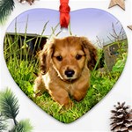 Puppy In Grass Ornament (Heart)