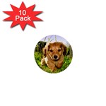 Puppy In Grass 1  Mini Button (10 pack) 