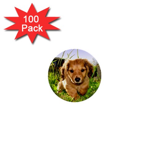 Puppy In Grass 1  Mini Button (100 pack)  from ArtsNow.com Front