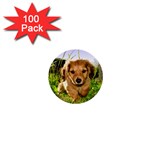 Puppy In Grass 1  Mini Button (100 pack) 