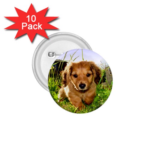 Puppy In Grass 1.75  Button (10 pack)  from ArtsNow.com Front