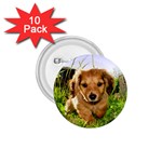 Puppy In Grass 1.75  Button (10 pack) 