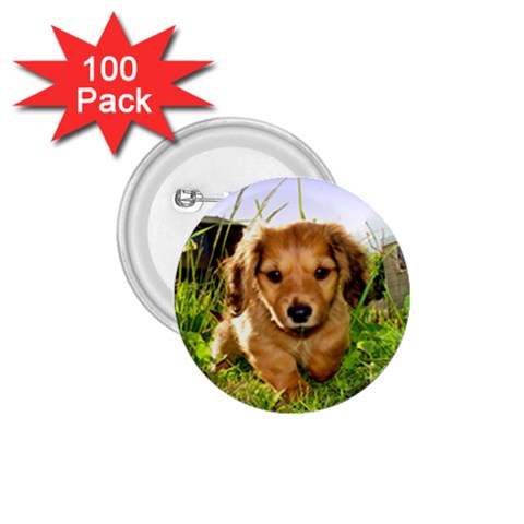 Puppy In Grass 1.75  Button (100 pack)  from ArtsNow.com Front