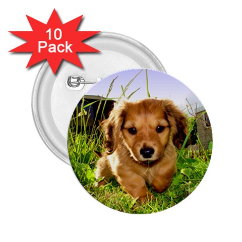 Puppy In Grass 2.25  Button (10 pack) from ArtsNow.com Front