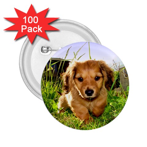Puppy In Grass 2.25  Button (100 pack) from ArtsNow.com Front