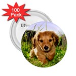 Puppy In Grass 2.25  Button (100 pack)