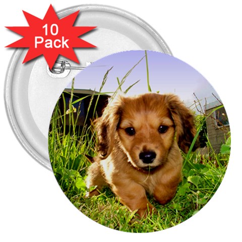 Puppy In Grass 3  Button (10 pack) from ArtsNow.com Front