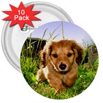 Puppy In Grass 3  Button (10 pack)