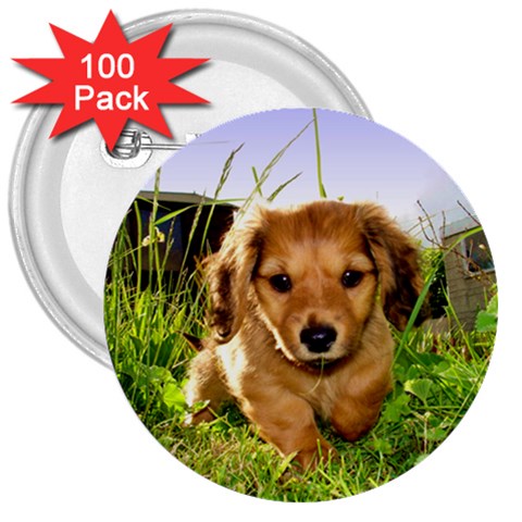Puppy In Grass 3  Button (100 pack) from ArtsNow.com Front