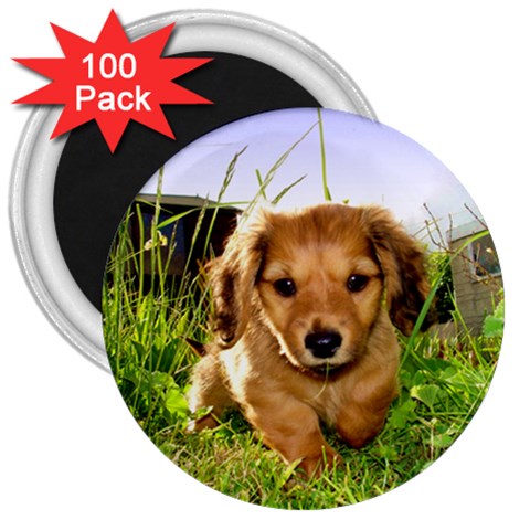 Puppy In Grass 3  Magnet (100 pack) from ArtsNow.com Front